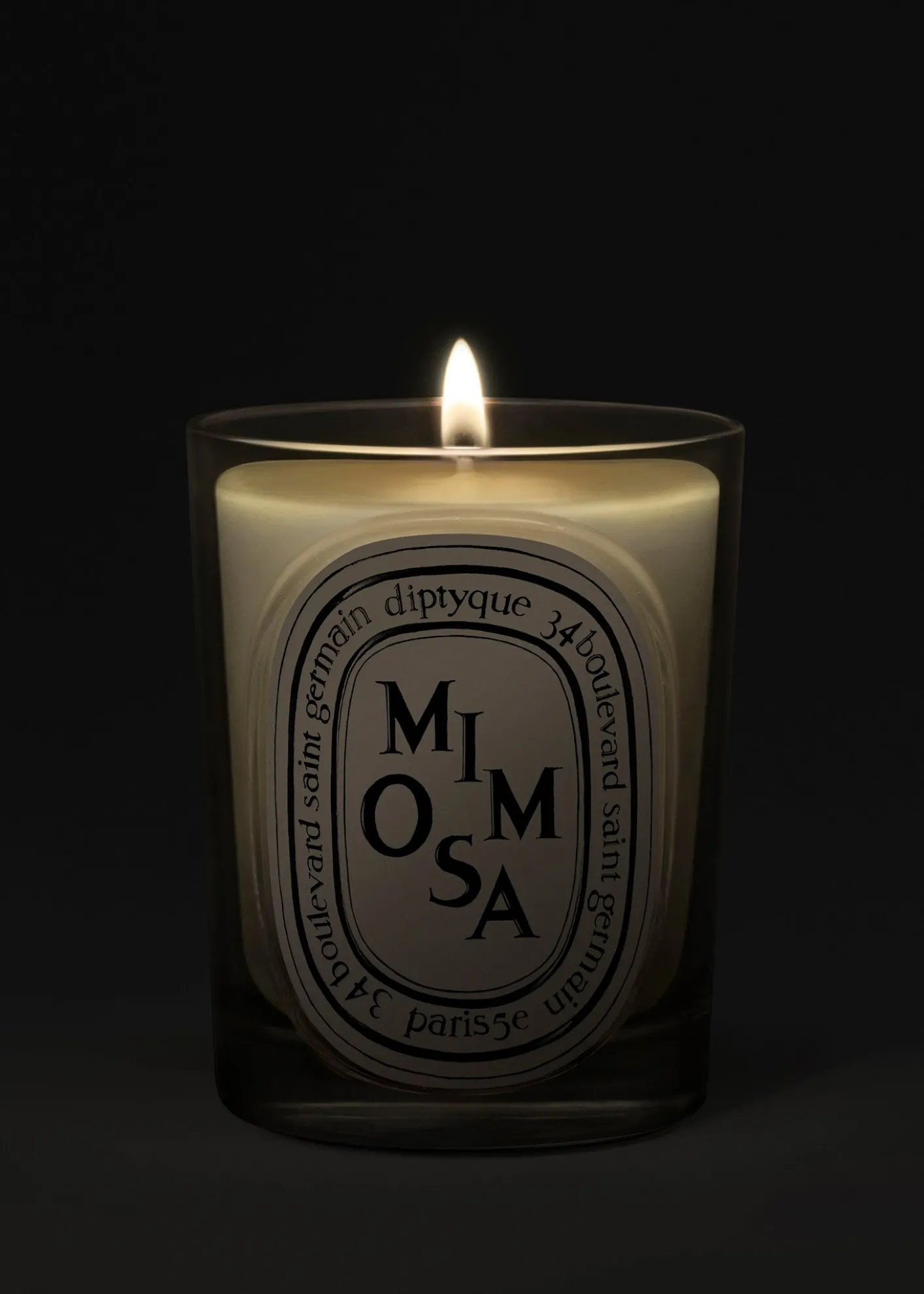 DIPTYQUEMimosa Classic Candle, 6.7 oz.