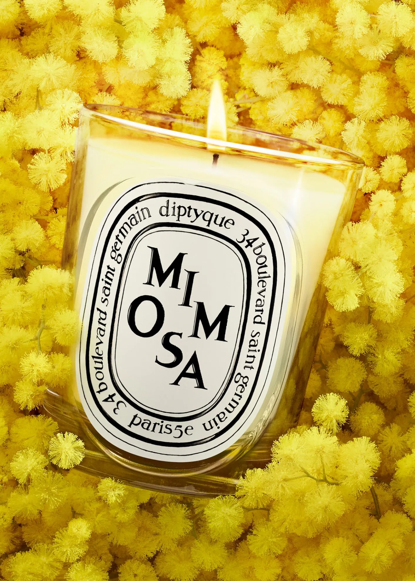 DIPTYQUEMimosa Classic Candle, 6.7 oz.