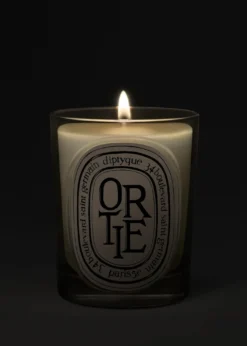 DIPTYQUEOrtie (Nettle) Classic Candle, 6.7 oz.