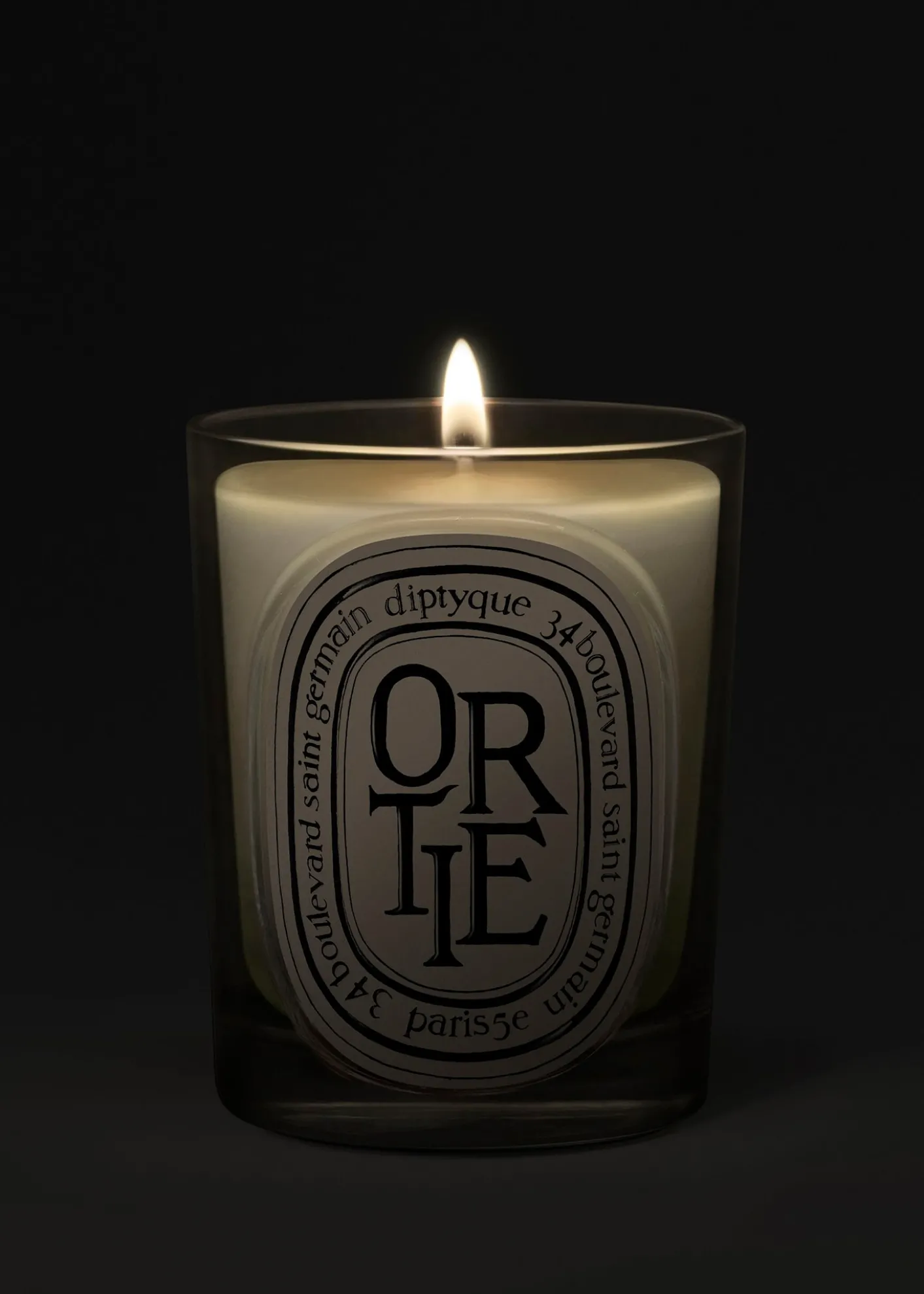 DIPTYQUEOrtie (Nettle) Classic Candle, 6.7 oz.