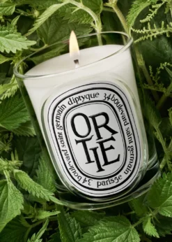 DIPTYQUEOrtie (Nettle) Classic Candle, 6.7 oz.