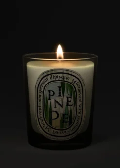 DIPTYQUEPinède Classic Candle, 6.5 oz.