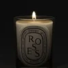 DIPTYQUERoses Classic Candle, 6.7 oz.