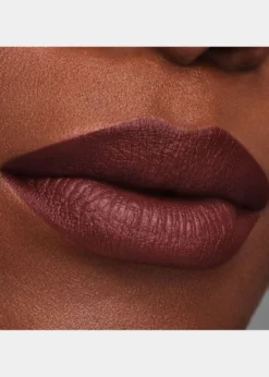 Estee LauderPure Color Long-Lasting Matte Lipstick