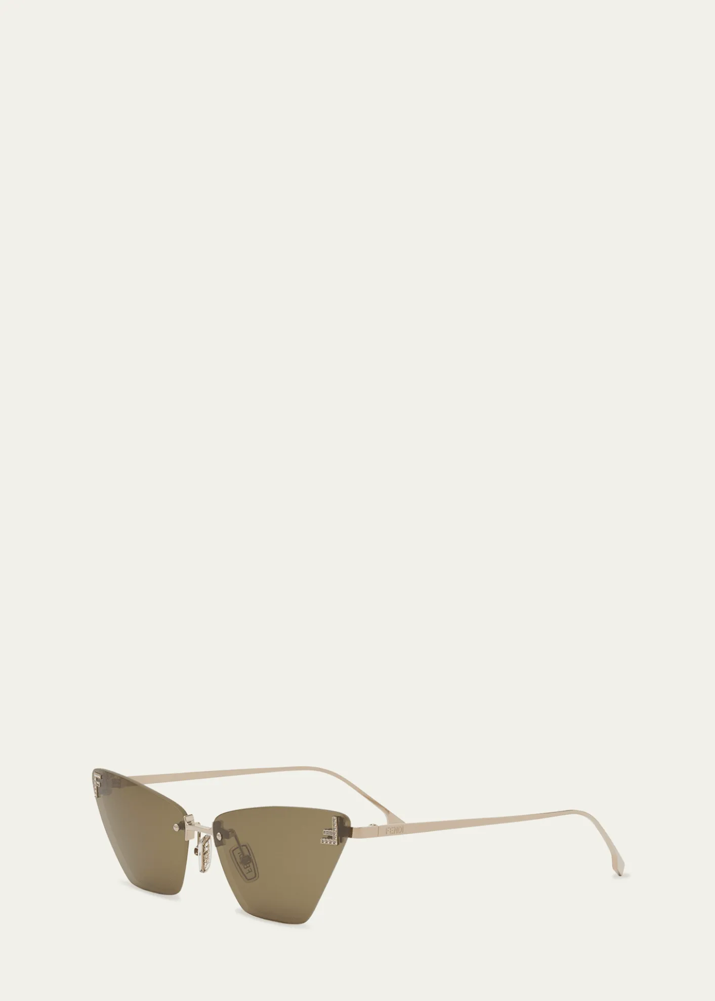 FendiFE4160US Cat-Eye Crystalized Logo Sunglasses