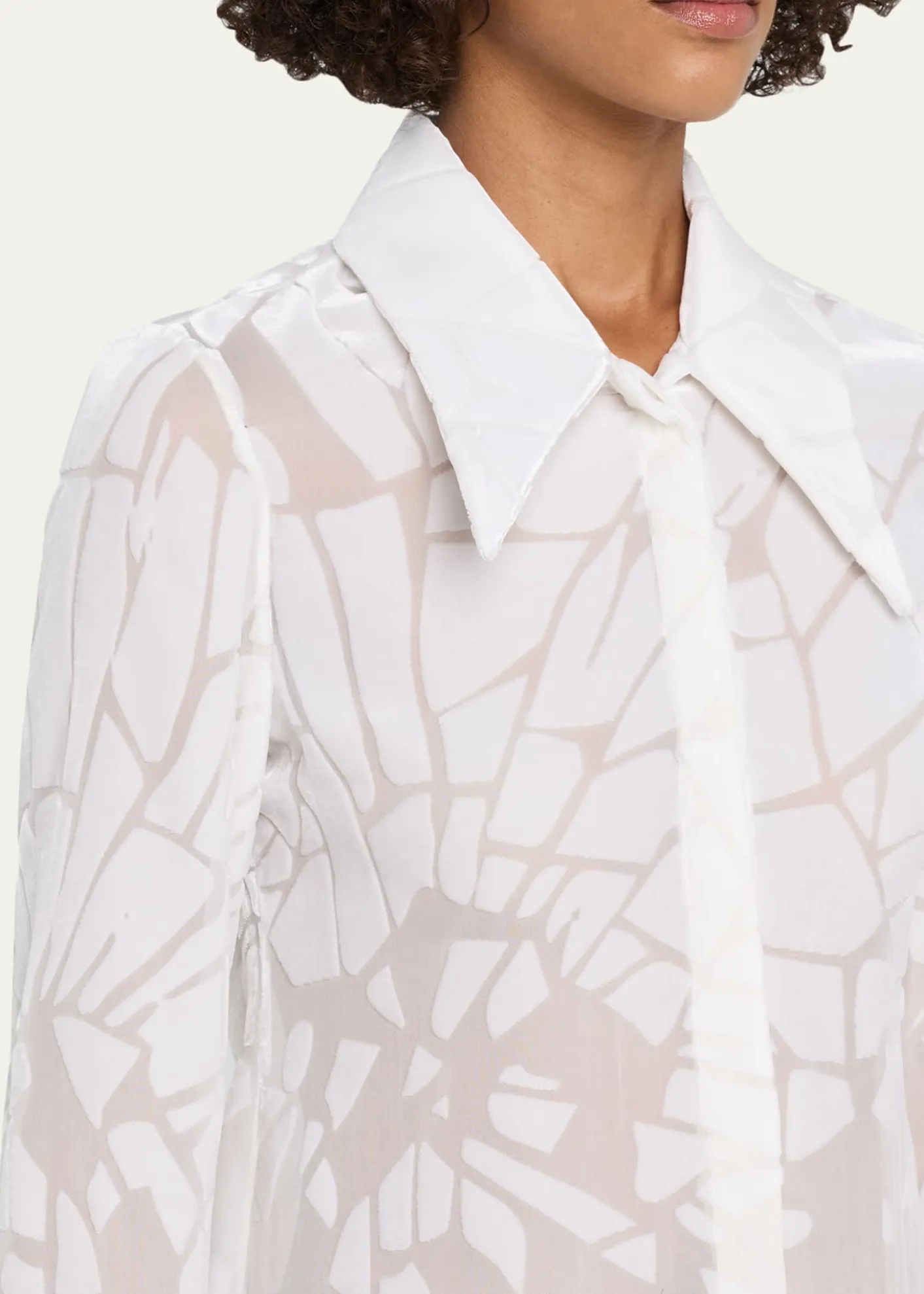 GRACE LINGCracked Velvet Devore Chiffon Button-Down Shirt