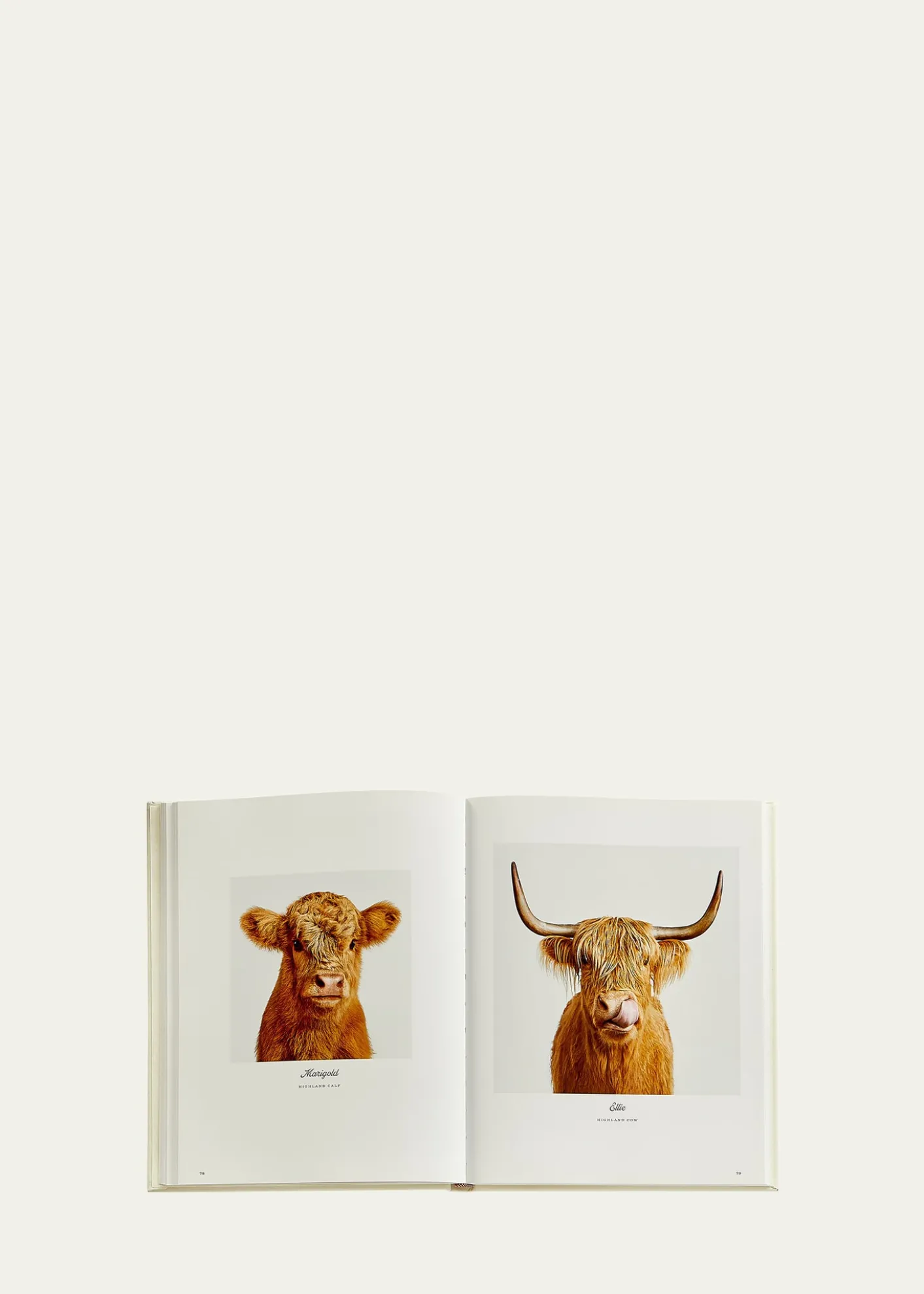 Graphic Image"Farm Life: A Collection of Animal Portraits" Leather-Bound Book by Randal Ford