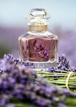 GuerlainMon Guerlain Eau de Parfum, 3.4 oz.
