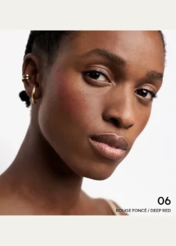 GuerlainTerracotta Powder Blush