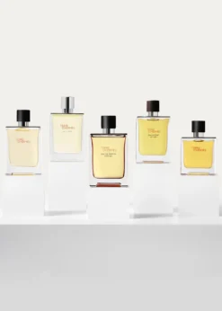 HermesTerre d'Hermes Parfum, 2.5 oz.