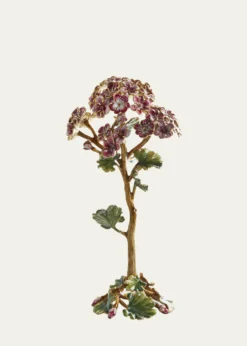 Jay StrongwaterGernamium Flower Objet
