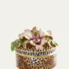 Jay StrongwaterMini Jungle Box