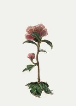 Jay StrongwaterPeony Objet