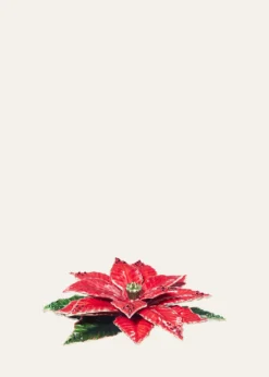 Jay StrongwaterPoinsettia Tabletop Objet