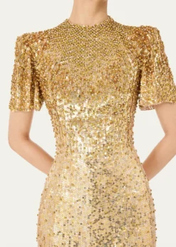 Jenny PackhamJourdain Sequined Short-Sleeve A-Line Gown