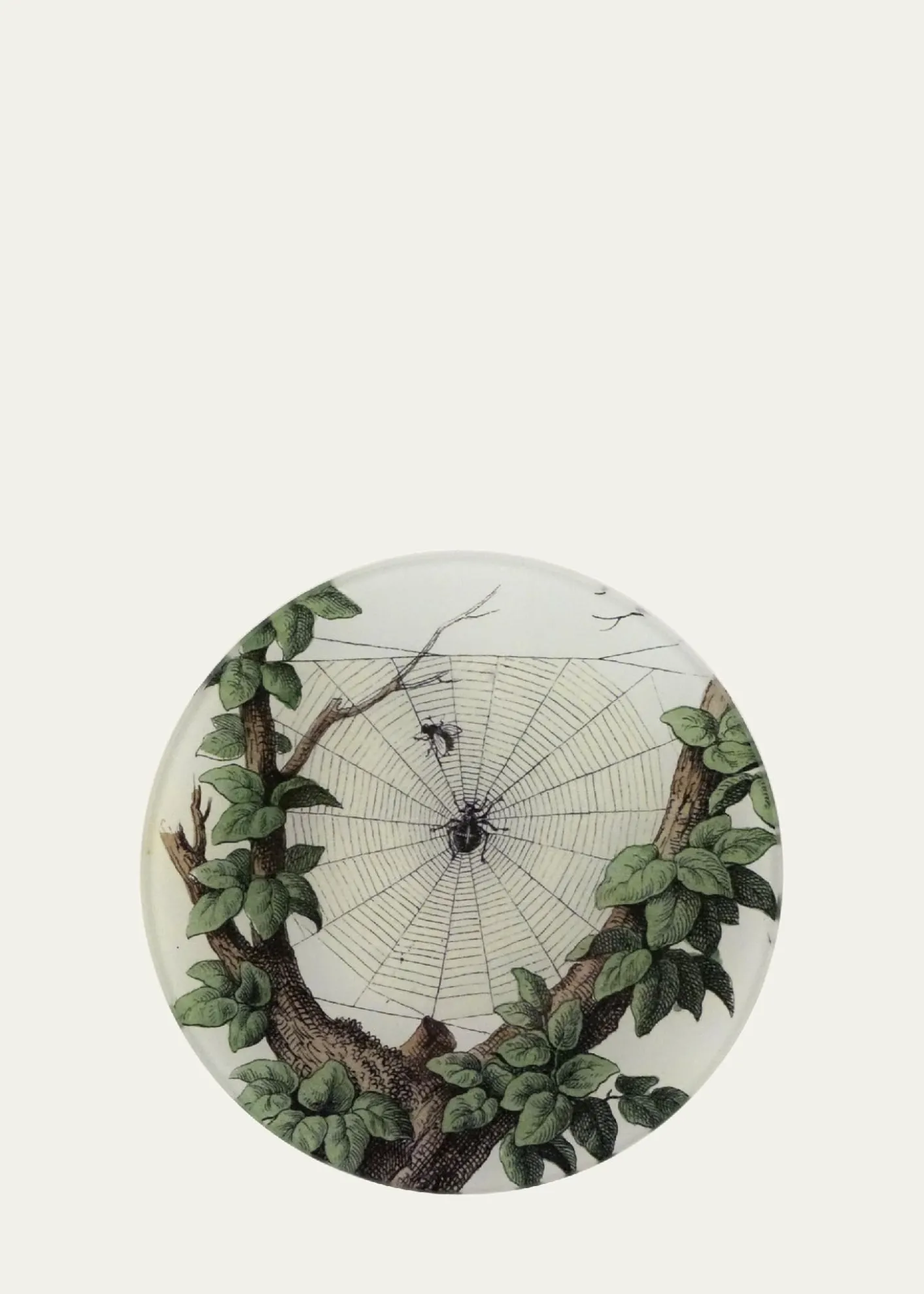 John DerianLeafy Web Decorative Plate