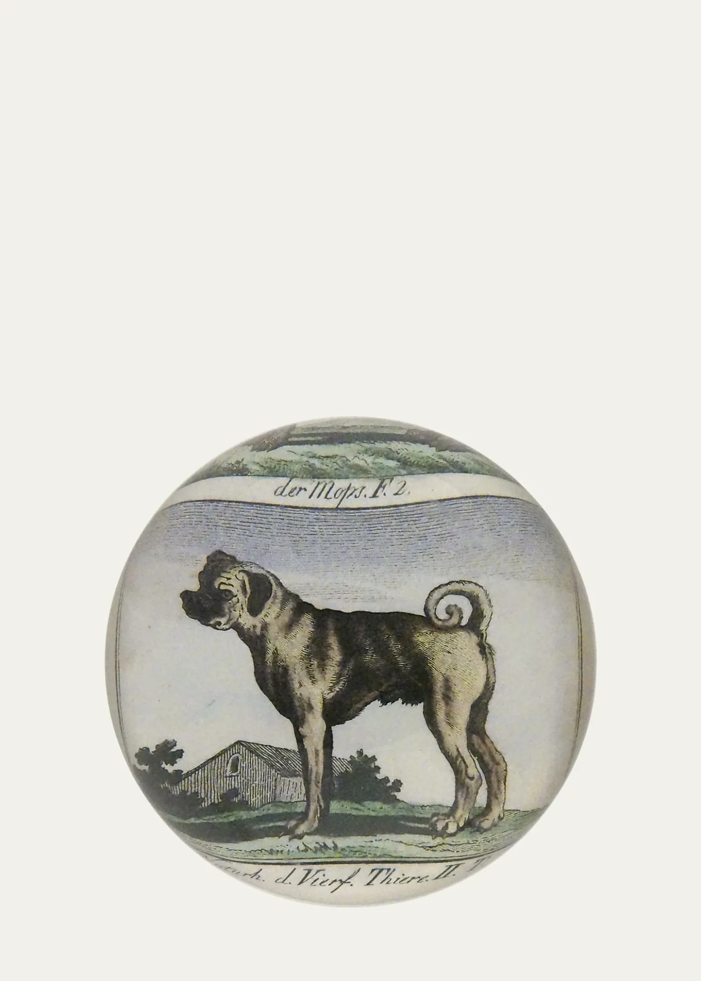 John DerianPug Profile Dome Paperweight