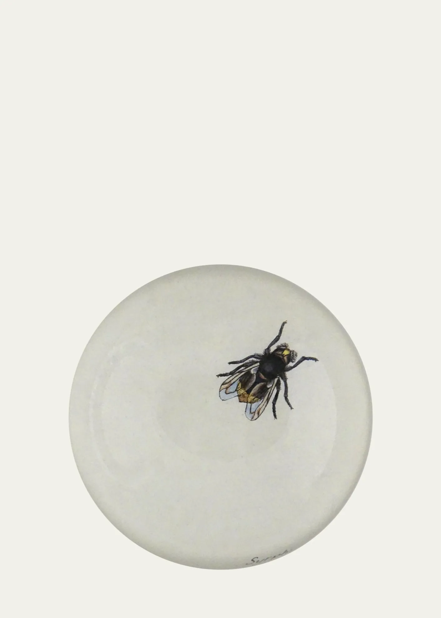 John DerianThe Fly Dome Paperweight