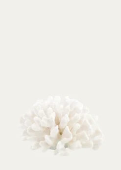 John-Richard CollectionMaldives Coral