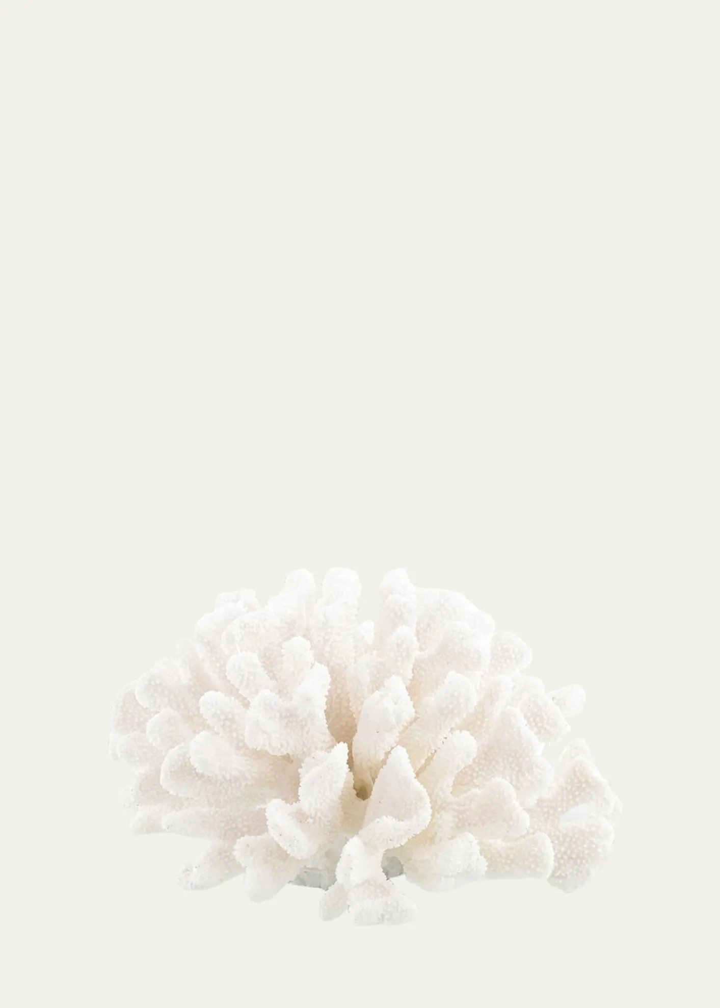 John-Richard CollectionMaldives Coral