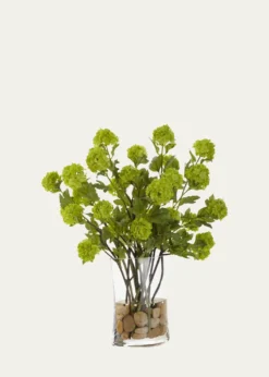 John-Richard CollectionVibrant Viburnum