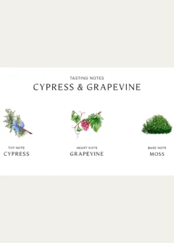 Jo Malone LondonCypress and Grapevine Cologne Intense, 3.4 oz.