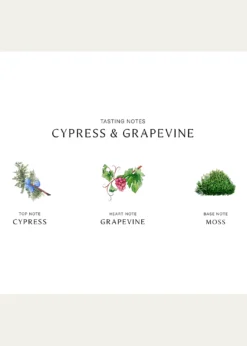 Jo Malone LondonCypress and Grapevine Cologne Intense, 1.7 oz.