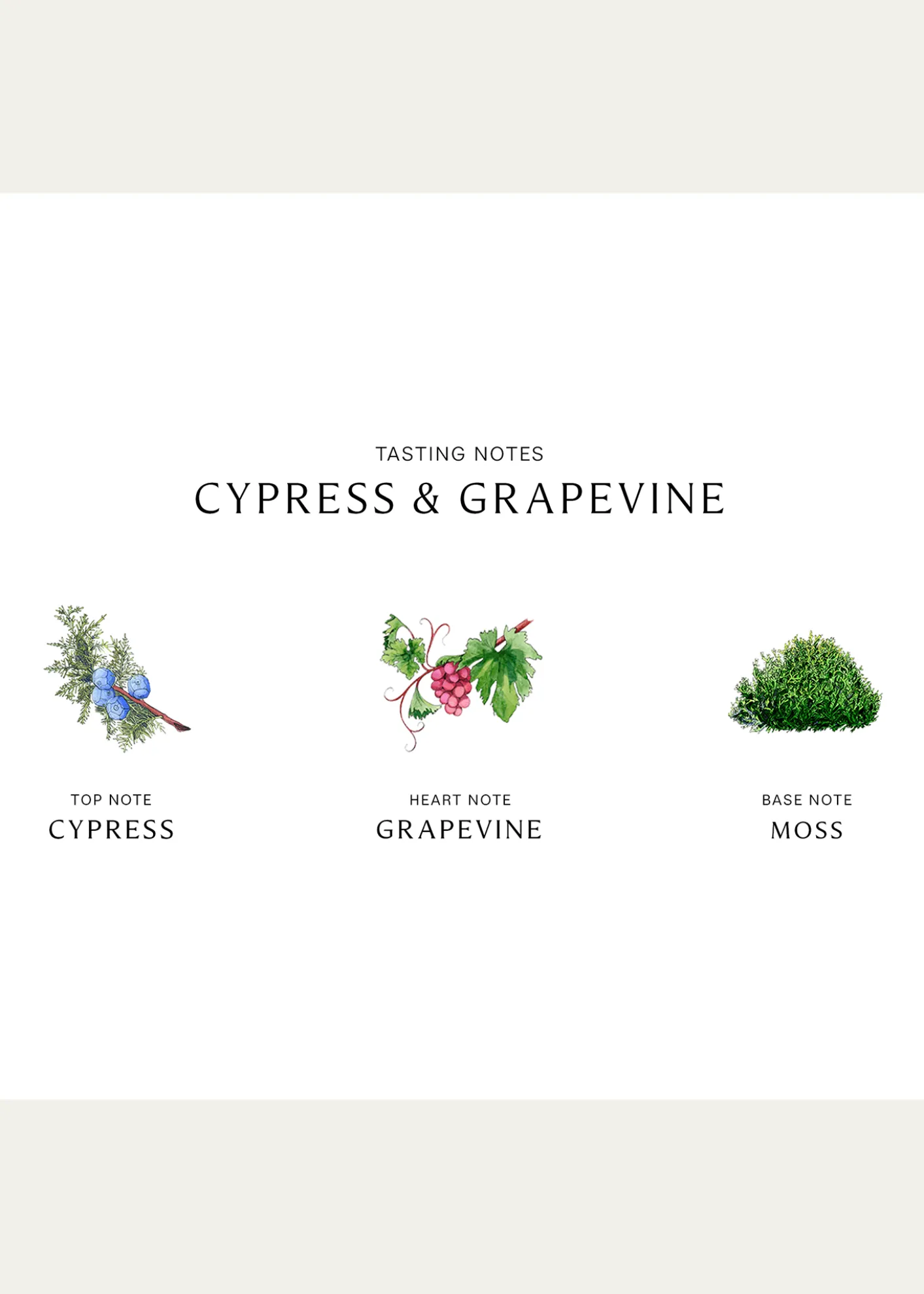 Jo Malone LondonCypress and Grapevine Cologne Intense, 1.7 oz.