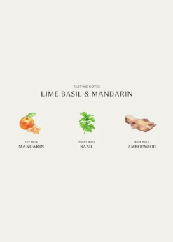 Jo Malone LondonLime Basil Mandarin Diffuser, 5.5 oz.