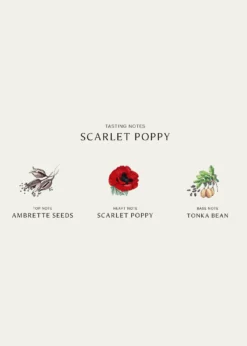 Jo Malone LondonScarlet Poppy Cologne Intense, 3.4 oz.