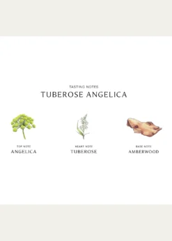Jo Malone LondonTuberose Angelica Cologne Intense, 1.7 oz.