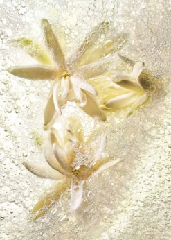 KilianGood girl gone Bad by KILIAN Hand & Body Wash, 8.5 oz.
