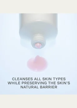 La PrairieFoam Cleanser, 4.0 oz.