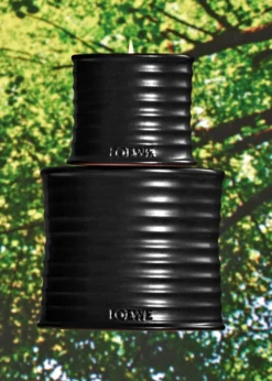 LoeweMedium Palo Santo Candle, 20.7 oz.