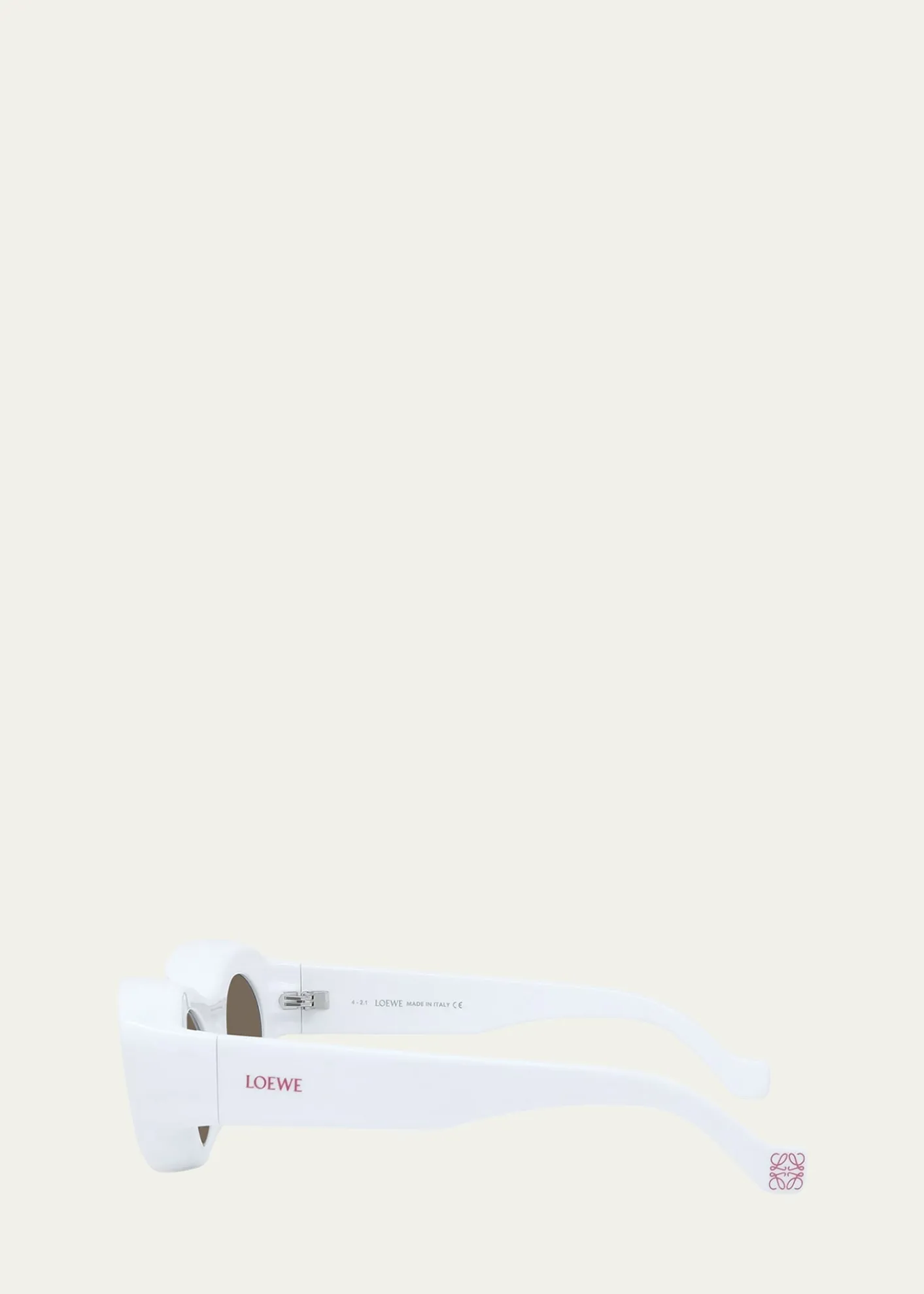 LoeweOval Injection Plastic Sunglasses