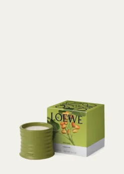 LoewePistachio Small Scented Candle, 5.8 oz.