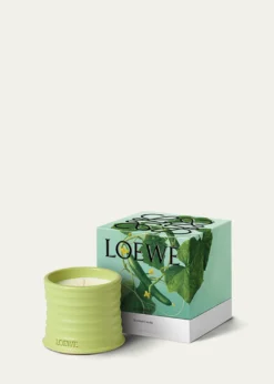 LoeweSmall Cucumber Candle, 5.8 oz.