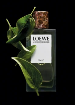 LoeweUn Paseo por Madrid Prado Eau de Parfum, 3.4 oz.