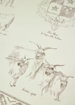 Loro PianaLe Origini Delle Eccellenze Foulard Scarf