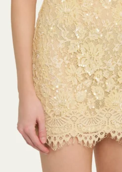 LoveShackFancyJetta Sequined Floral Lace Mini Dress