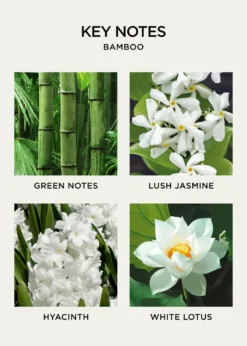 NEST New YorkBamboo Wall Diffuser Refill Set