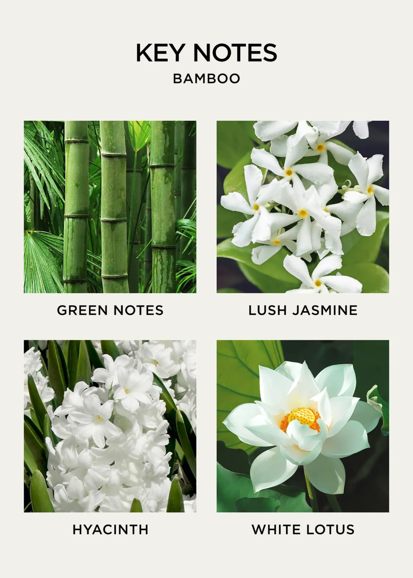 NEST New YorkBamboo Wall Diffuser Refill Set