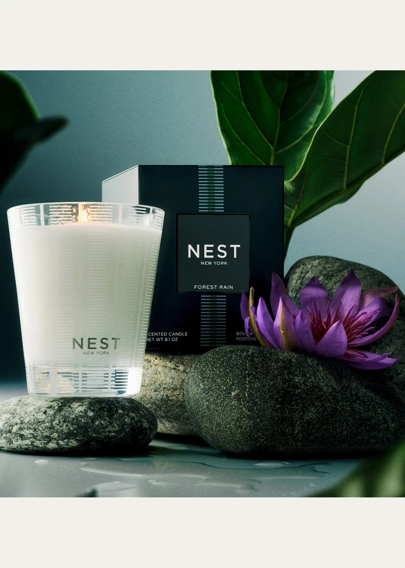 NEST New YorkForest Rain Classic Candle, 8.1 oz.