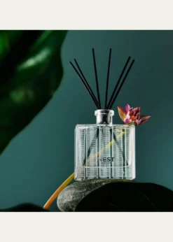 NEST New YorkForest Rain Reed Diffuser, 5.9 oz.