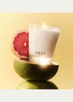NEST New YorkGrapefruit Classic Candle, 8.1 oz.