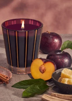 NEST New York8.1 oz. Autumn Plum Classic Candle