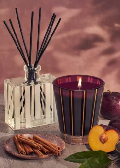 NEST New York5.9 oz. Autumn Plum Reed Diffuser