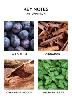 NEST New York5.9 oz. Autumn Plum Reed Diffuser