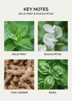 NEST New York10.1 oz. Wild Mint & Eucalyptus Liquid Soap