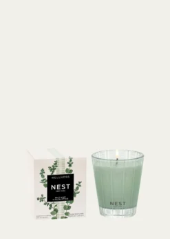 NEST New YorkWild Mint Eucalyptus Classic Candle, 8.1 oz.